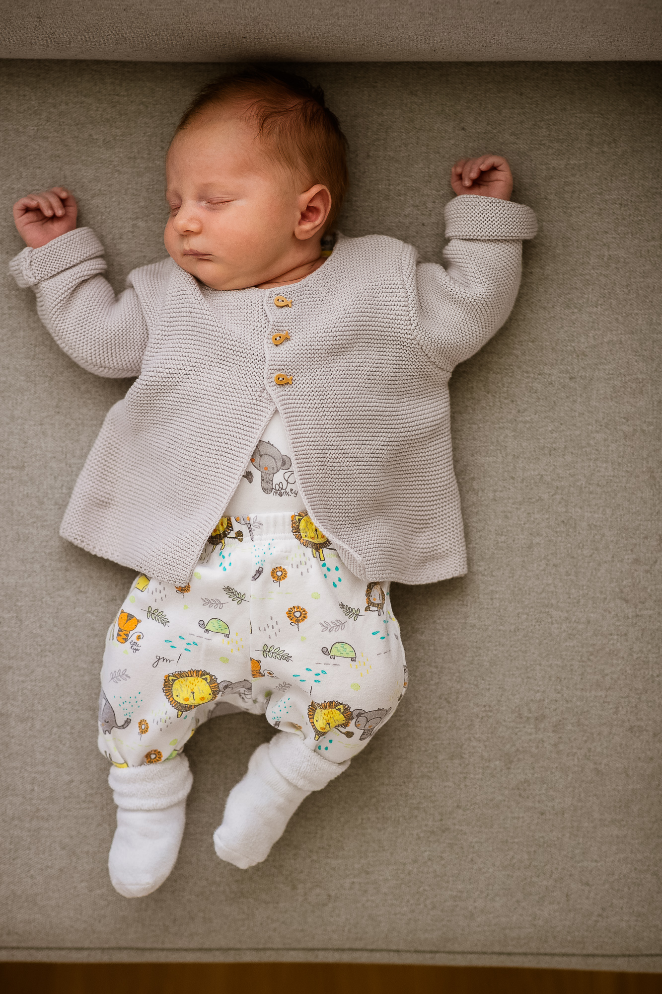 Export x3 1DX28368 Bearbeitet Familienfotoshooting 2019 Hefti